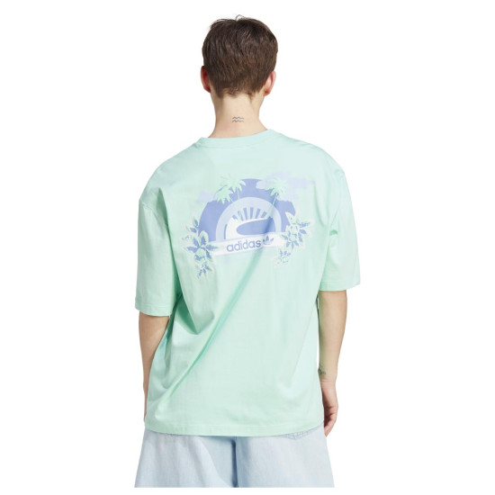 Adidas Γυναικεία κοντομάνικη μπλούζα Graphic Tee Ovz